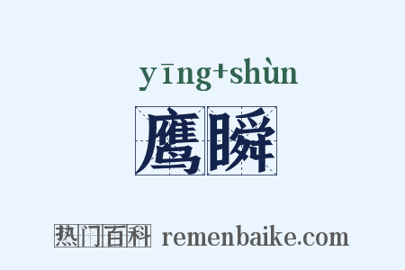 鹰瞬是什么意思的图片